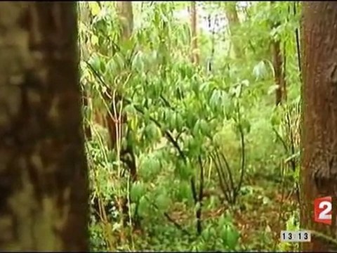 Natasha assassinée lors de son Jogging