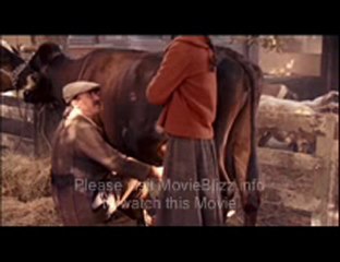 Finding Rin Tin Tin (2007) Part 1 of 17