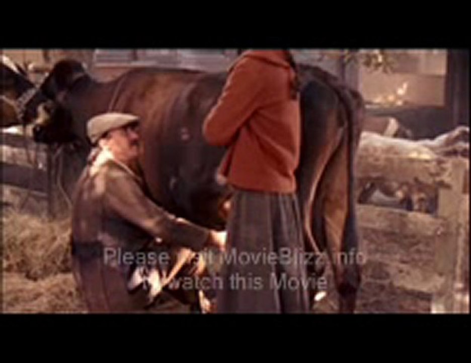 Finding Rin Tin Tin (2007) Part 1 of 17