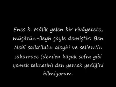 PEYGAMBERİMİZİN (S.A.V.) HADİS-İ ŞERİFLERİ 8