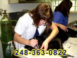 Commerce MI Veterinarians Call 248-363-0822