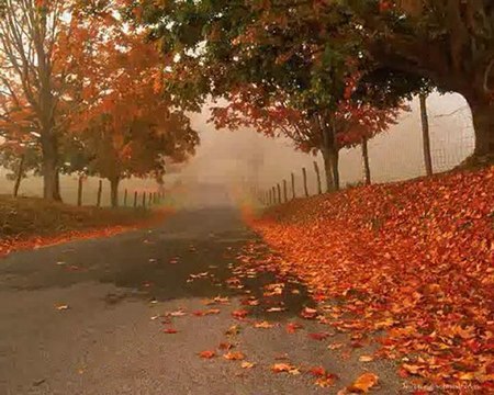 Sabır Sınavıdır Ömür Dediğin (şiir) - Cengiz Numanoğlu