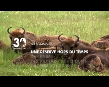 Sommaire émission 30 Millions d'Amis du 12-09-2010