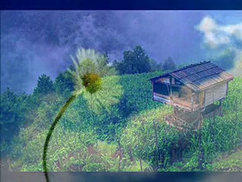 Tuncay YILMAZ & Robert MARKHAM, C. FRANCK Violin Sonata