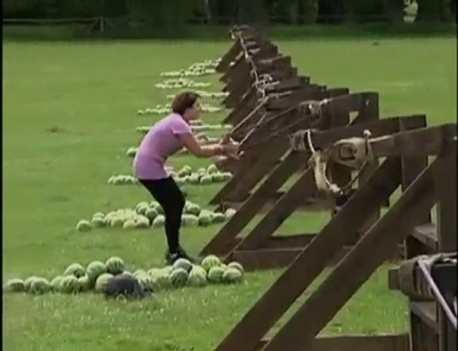Une pastèque en pleine tête !