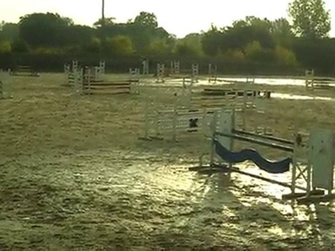 concours cesson amat 1m