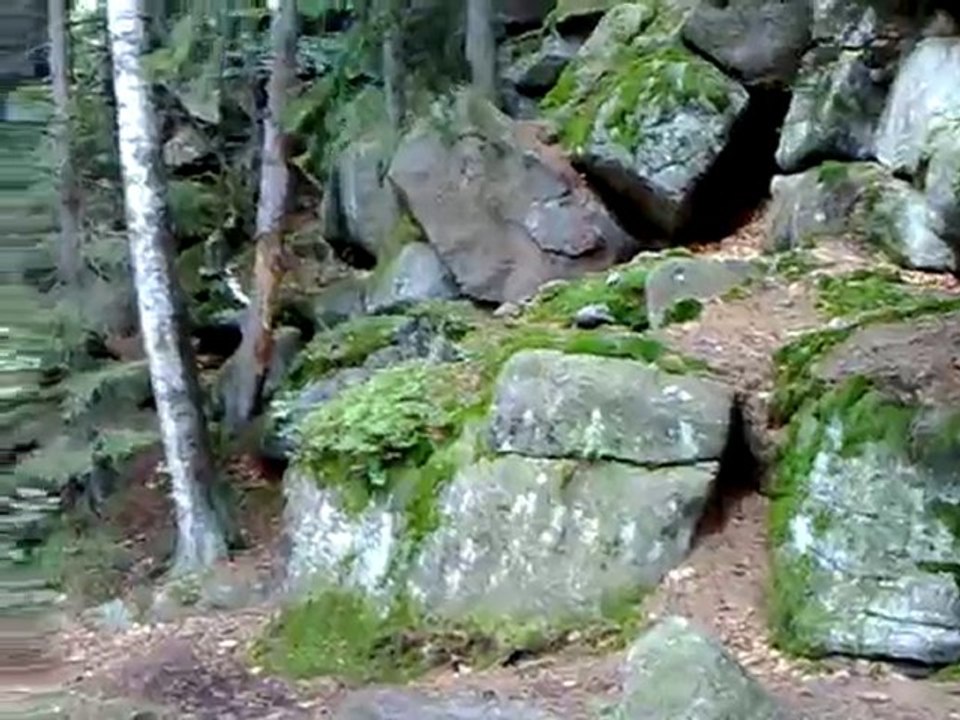 20100905079