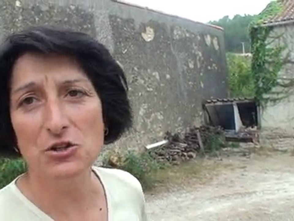 Mouscaillo Présentation du Domaine