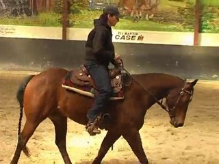 Browny, début du travail monté.