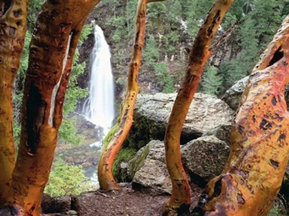PLANET EARTH BY MARCO BELZONI allias Slide and Video Mashine