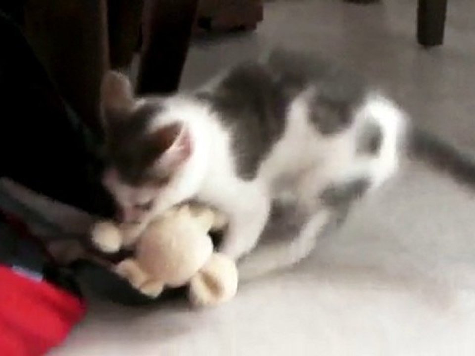 frimousse et son doudou