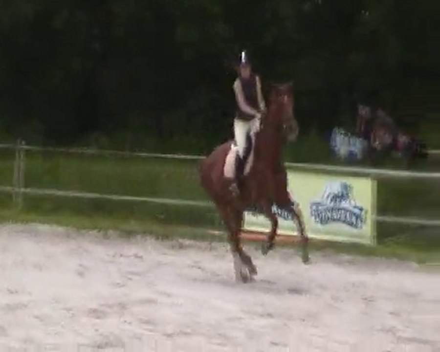 Concours Am Haras du soleil