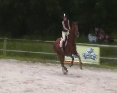 Concours Am Haras du soleil