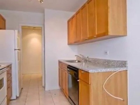 Homes for Sale - 3410 N Lake Shore Dr - Chicago, IL 60657 -