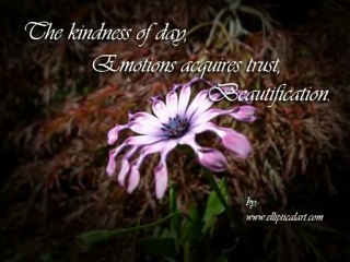 Discover Unique Elliptical Art to Enhance Your Personal Connections ✨