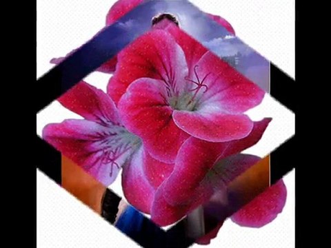 KIEDY SERCE MÓWI KOCHAM CIĘ