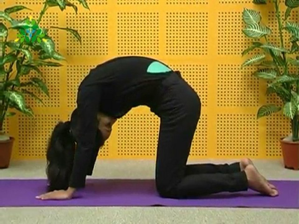 Cat Stretch Pose
