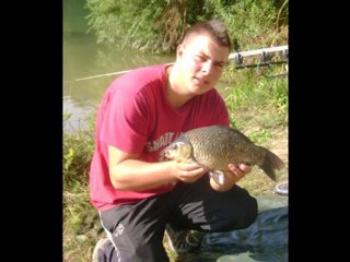 les nuits de la carpe de septembre