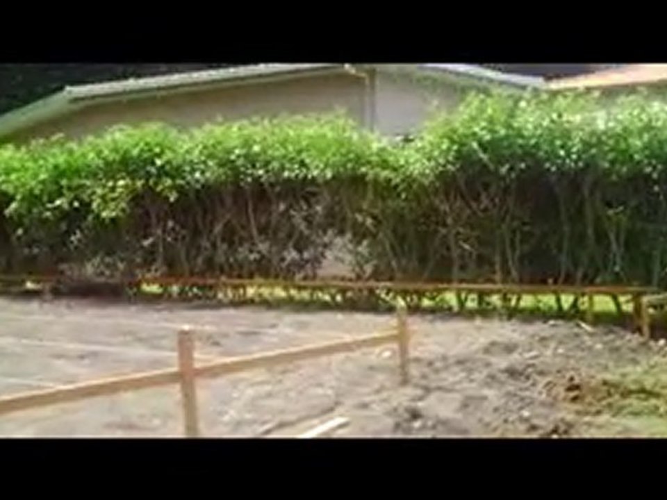 Head Construction Bejuco House
