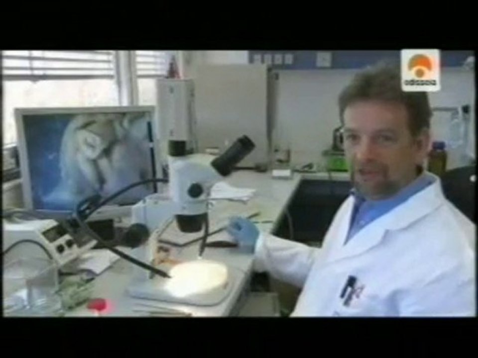 Disruptores endocrinos: Efectos sobre los animales