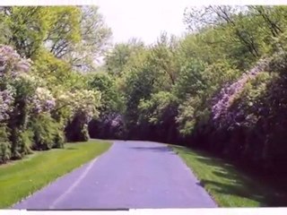 Homes for Sale - 99 Brinker Rd # A - Barrington, IL 60010 -