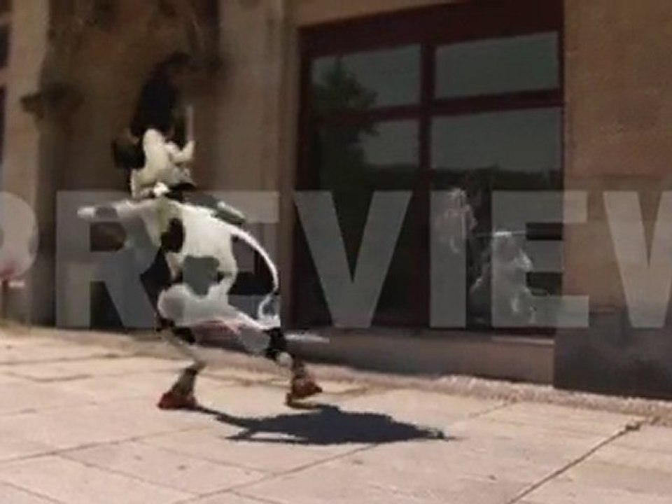 Crazy Cow I Like To Moo