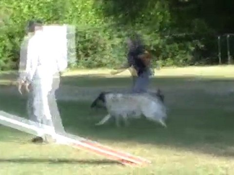 Bourgoin Vanille open