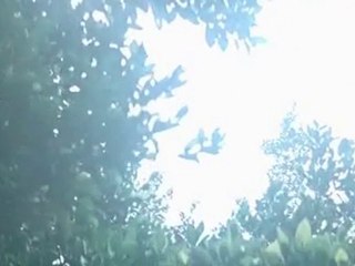 Linger.2008.DVDRip.KST-07