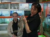 Australian's bungled snake theft
