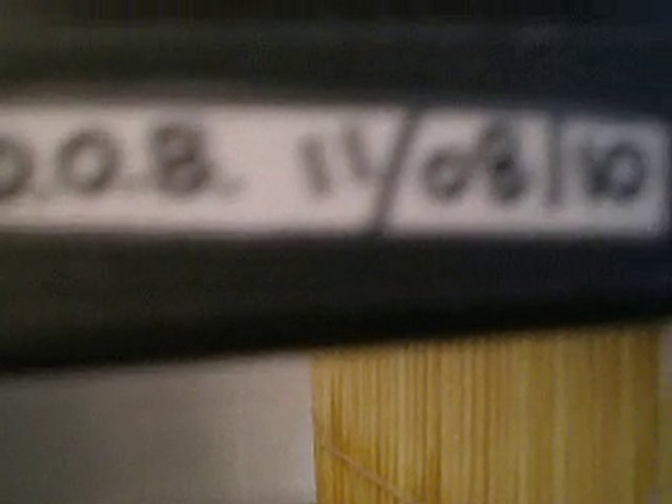 Alevins Poissons Rouges - 2 semaines