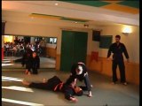 France Kenpo Karaté Association