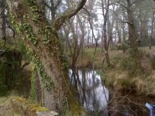 Jolie petite maison à la campagne