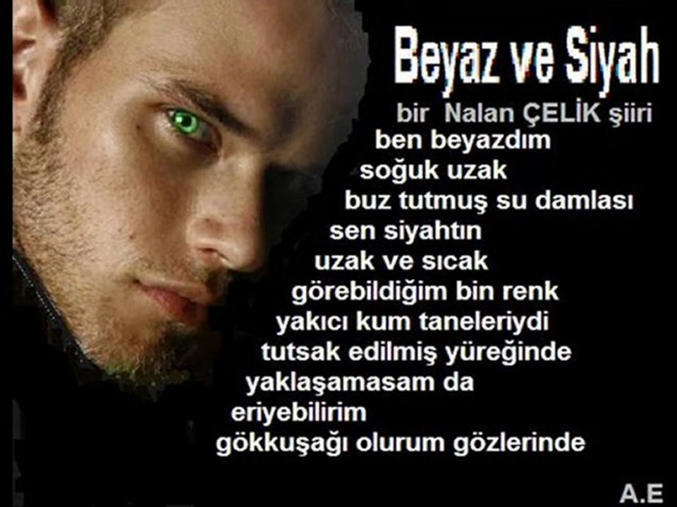 NALAN ÇELİK şiirleri