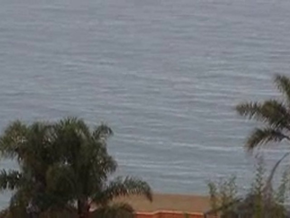 Dolphins @ Hope #1