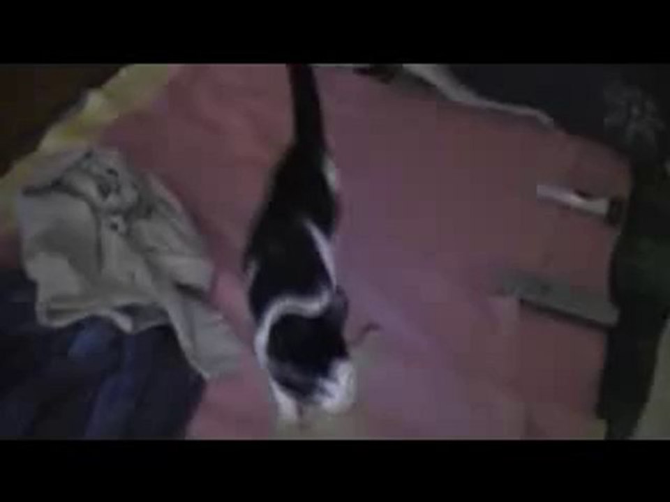 MOV05a_1