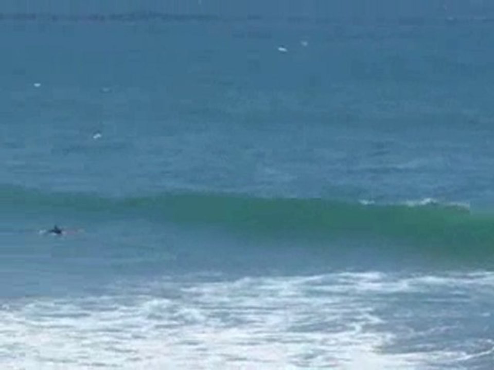 Surfers at Malibu