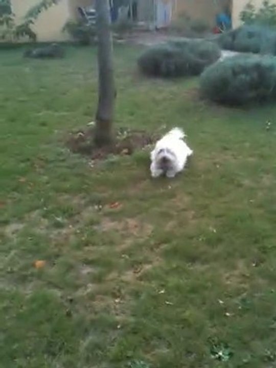 la plus belle MA plus belle