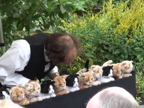 Un Orgue A Chats Pour Le Prince Charles Video Dailymotion