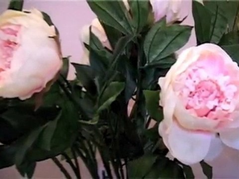 Funeral Home Ashfield Jeffrey Bros Funeral Services NSW