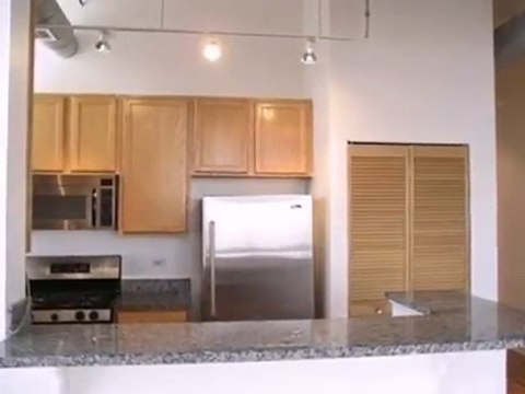 Homes for Sale - 221 E Cullerton St - Chicago, IL 60616 - Co