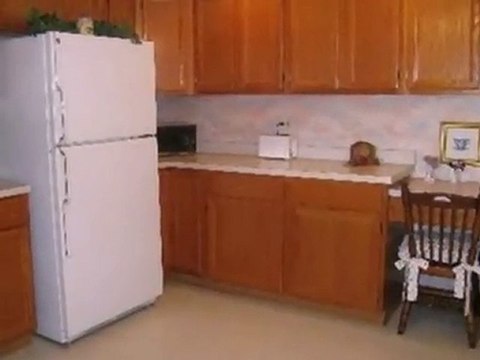 Homes for Sale - 16131 Lake Villa Ave - Tinley Park, IL 6047