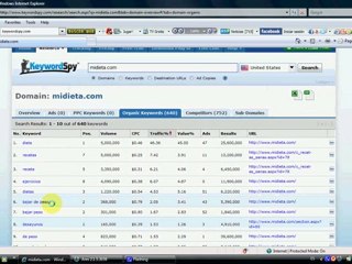 Analizando Palabras Claves Orgánicas y PPC Google