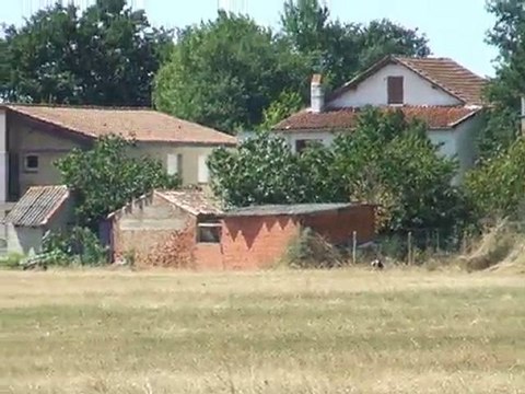 Troupeaux recherche à 200 & 400m TVA 29 Aout 2010