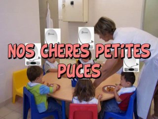 Nos chères petites puces