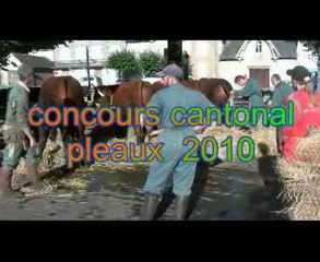 concours cantonal Pleaux 2010