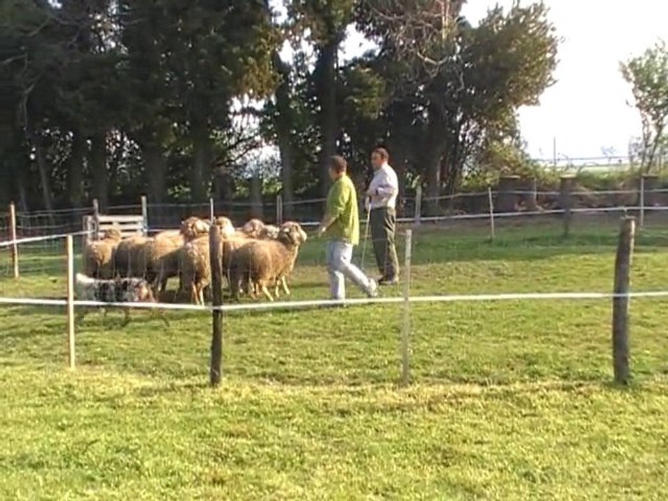 eclypss cant 18.04.10