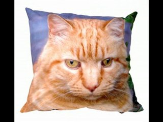 Gift Ideas-Sweet dream with our Cushions.