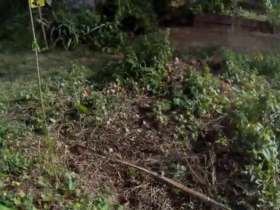 Rando VTT, La Vendée Verte