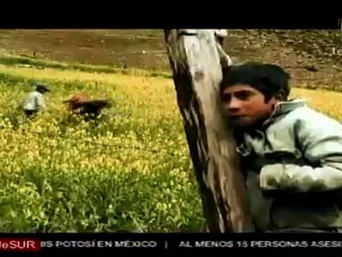 Manos mansas llega a Caracas