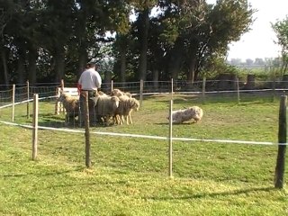 ethann cant 18.04.10